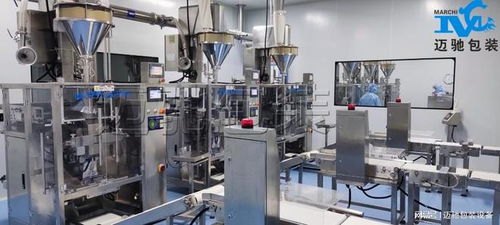 全自动粉体包装机 前沿品牌与研发趋势深度解析